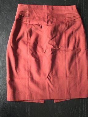 Express Rust Orange Pencil Skirt